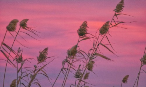 Kalıcı Kokular Nelerdir? Kalıcı Kokular Nelerdir?