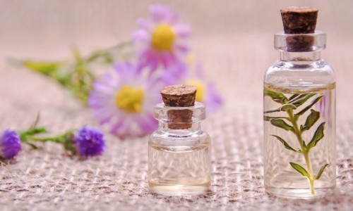 Kokunun Tarihçesi Kokunun Tarihçesi