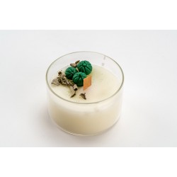 Doğal Soya Wax Adaçayı Kokulu Mum Doğal Soya Wax Adaçayı Kokulu Mum